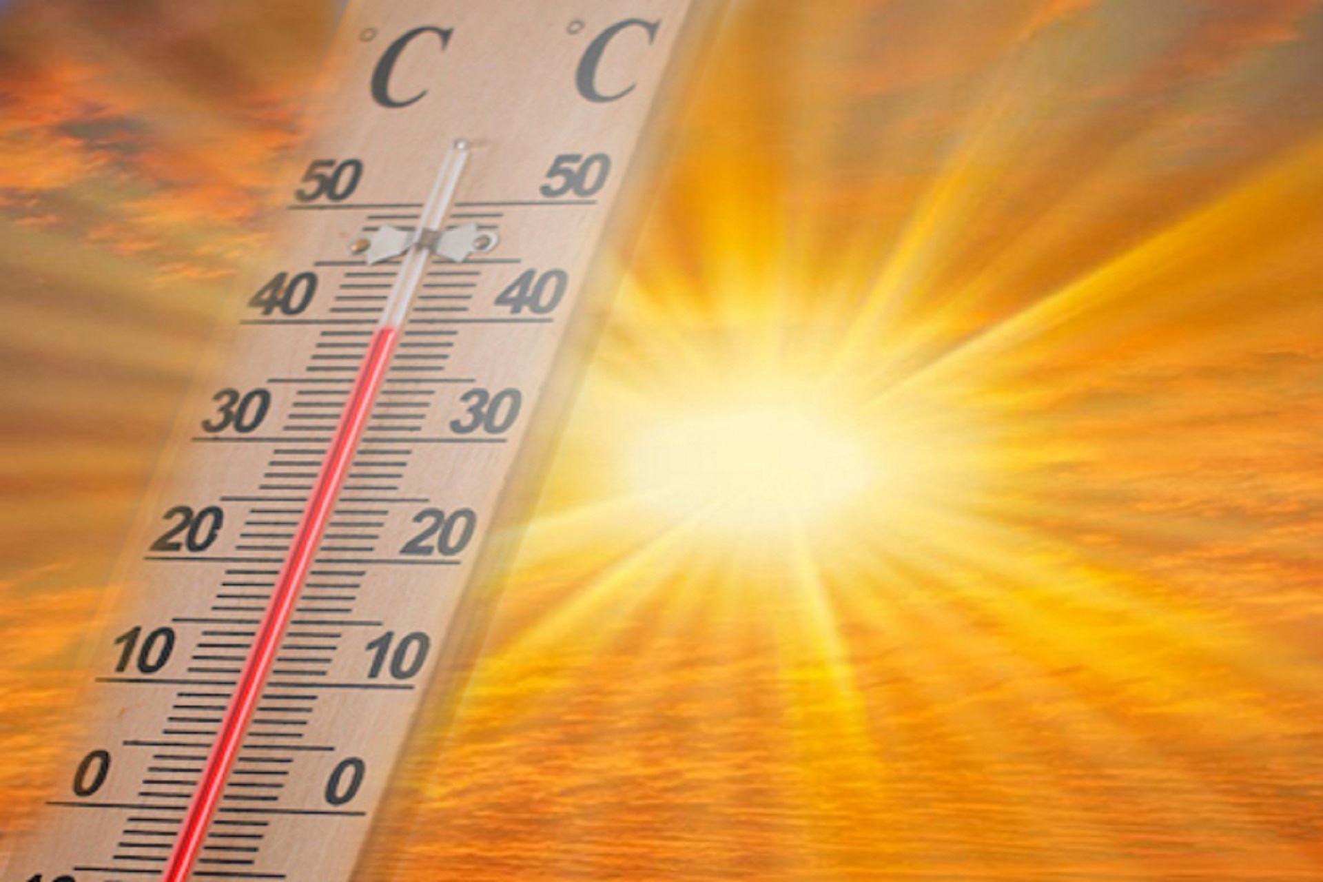 Come difendersi dal grande caldo?