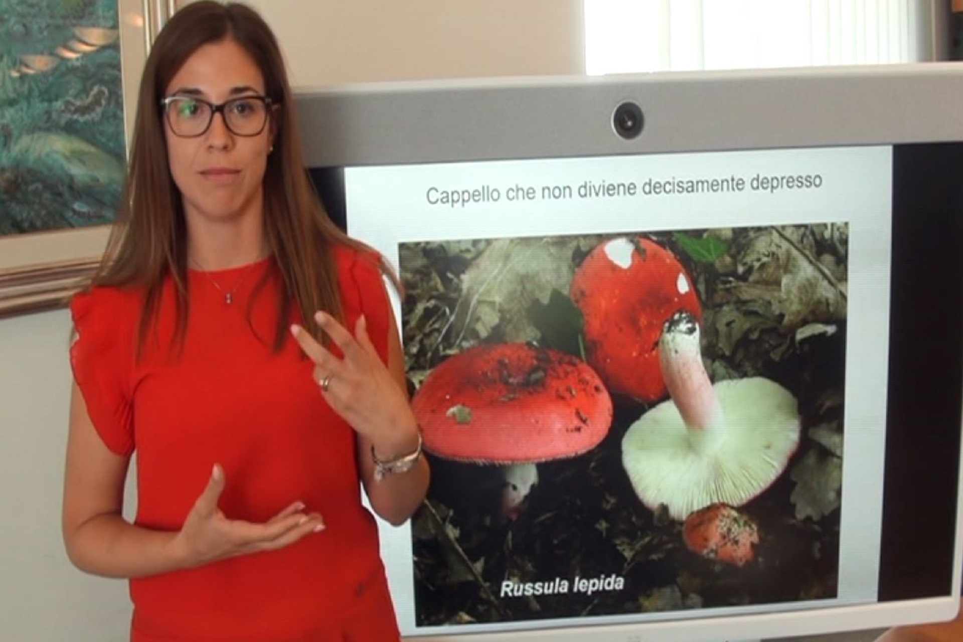 Asl 5, un video tutorial: “La raccolta dei funghi: ecco come fare”