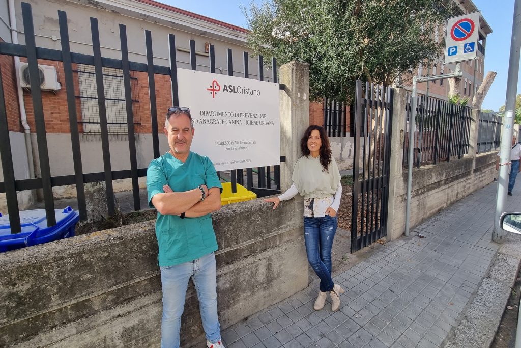 La Asl 5: “Pronti a intervenire per i gatti randagi a Laconi”