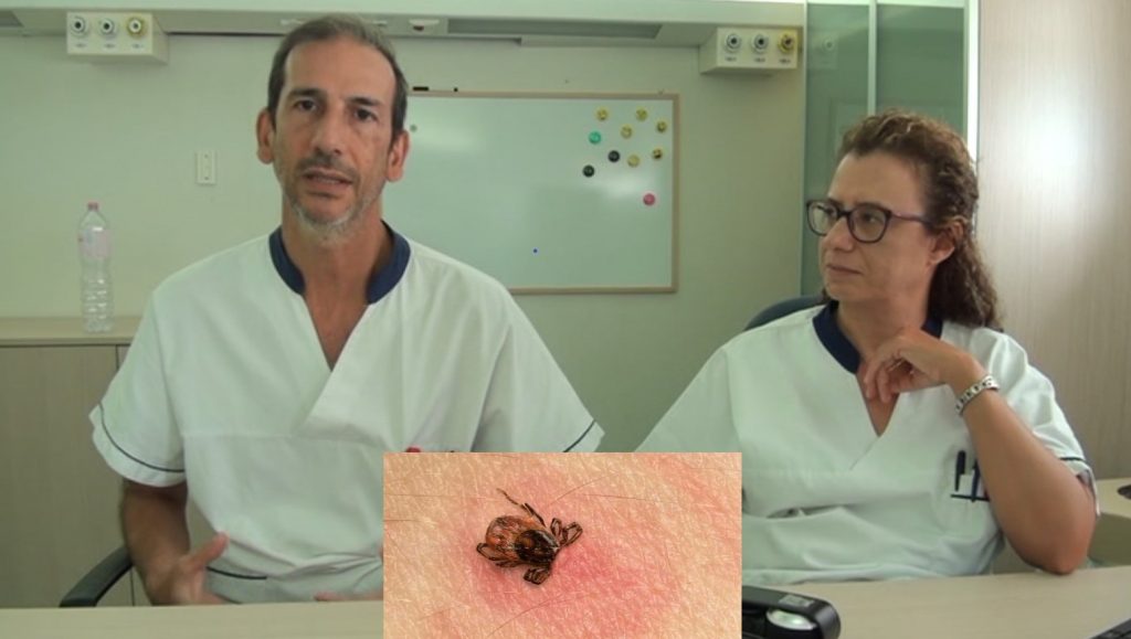 “D’estate occhio alla zecca”: i consigli dei dermatologi