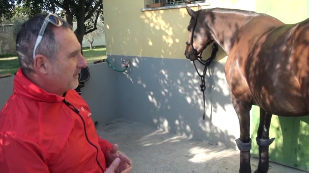 L’impegno della Asl 5 per la Sartiglia: “Ecco i controlli sui cavalli”