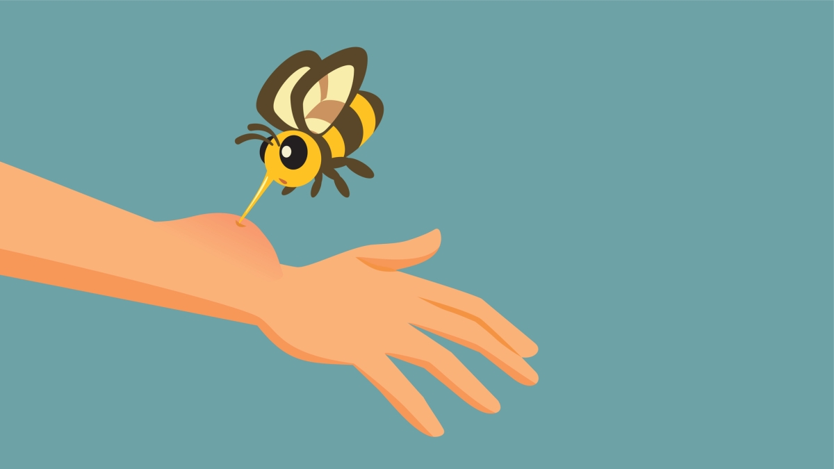 “D’estate occhio agli insetti”: i consigli dei nostri dermatologi
